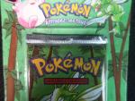 Carte Pokemon 
Contenu : Booster sous blister carton 
Illustration : Insecateur
Edition : Réédition...