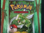 Carte Pokemon 
Contenu : Booster sous blister carton 
Illustration : Insecateur
Edition : Réédition...