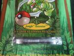 Carte Pokemon 
Contenu : Booster sous blister carton 
Illustration : Insecateur
Edition : Réédition...