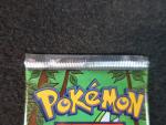 Carte Pokemon 
Contenu : Booster de 11 cartes 
Illustration : Insecateur
Edition : Réédition...